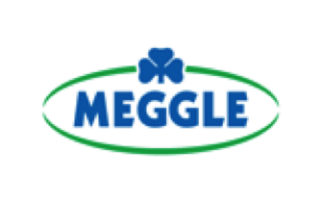 logos-meggle-logo-white-320x202
